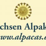 1_Sachseb Alpakas