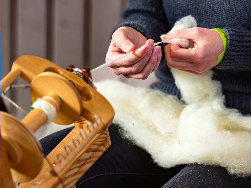 Workshop spinnen2